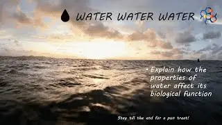 Everything you need to know about water for AP Biology (in 11 minutes or less)