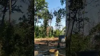 Forest Work (drilling) #automobile #forestmachine #forestwork #yoyosan #drillingengineering