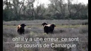 Bizarerie &agrave; Tintigny Projet Papy Mamy Clic EPN Tintigny