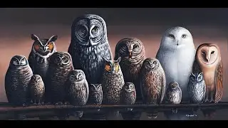 The Owls Gathering - Symphonic Music composed by Andres Pozos