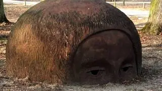 Oronsko 2019yt
