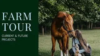 Horse Farm Tour | Current & Future Projects