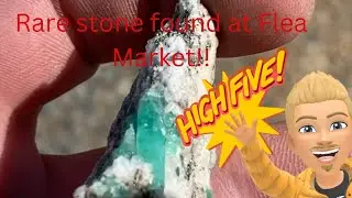 West coast treasure hunting