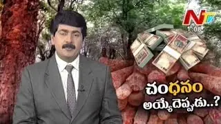 AP Government Decision Seized Red Sanders Auction