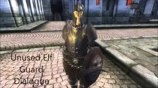 Oblivion: Unused Elf Guard Dialogue