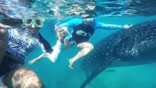 GoPro: Oslob swimming with the whalesharks aka botanding!