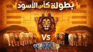كاس عالم الاسود أكبر بطولة في سافانا لايف.. معركة تجمع بين المهارة والحظ (1/2)