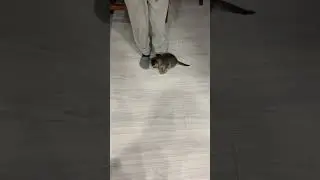 When your a foot guy!