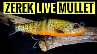 Zerek Live Mullet Did it Work ?