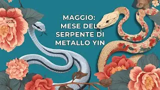 Feng Shui and Ba Zi Tips - May 2025 yin Metal Snake month