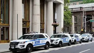 How to avoid an NYPD Character Disqualification