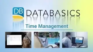 DATABASICS Timesheet Management & Reporting