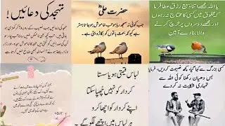 Amazing Collection Quotes In Urdu | Urdu Poetry | Islamic Quotes | Motivational Quotes @innal1M