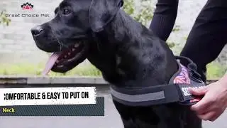 Best No Pull Dog Harness