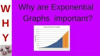 Relevance of Exponential Graphs
