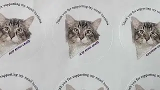 Custom pet tags ID dog cat handmade my small business I start #cat #gatos #viral #pettags #handmade