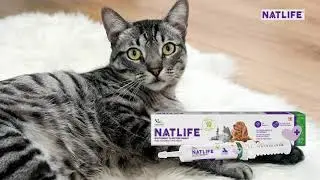 Pet Natural Remedies | Natlife | Energy Enhancing Supplements For Pets