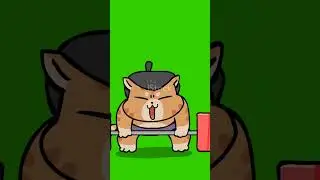 anime cat gym #cat #anime #gym #workout #animecat #gymmotivation #edit #ai