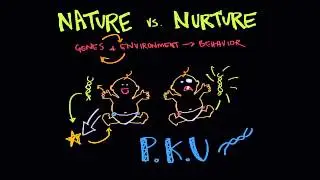 01   Behavior and genetics   04   Gene environment interaction