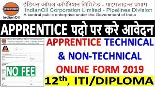 IOCL Pipeline Division Apprentice Online Form 2019 || IOCL Technical/Non-Technical Apprentice Form