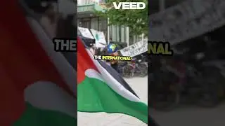 Border Tensions  Egypt vs  Israel Update #Egypt#Israel#Gaza#MiddleEast#War