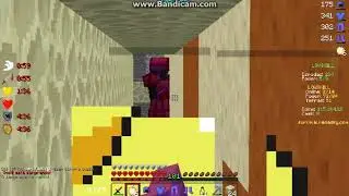 dsbizz xit
