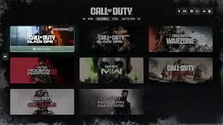 Black Ops 6 & 7 sniper & assualt riffles only