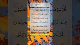 Surah At-Takathur,AL SabaQ App~Learn to read Quran #quran #quranrecitation #qurantilawat