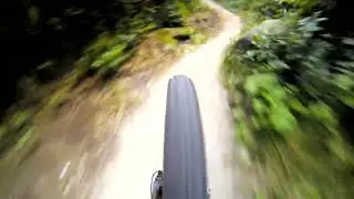 Mountain Biking | Urban Physical Therapy
