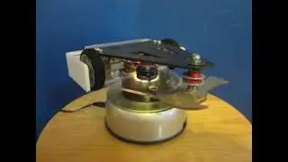 Mall Ninja 1 pound antweight