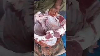 Mutton Cutting Video #trending #food #goat #reels #mutton #shorts