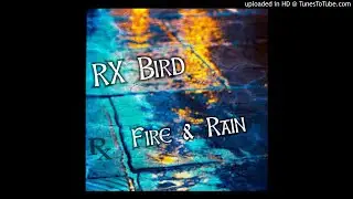 RX Bird 