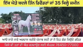 Horse price like 3 dfender car 😱😱