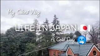 A Day In My Life in Japan | A Cold Day Out Shopping 