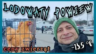 Giełda Proszowice | Morsowanie na sucho