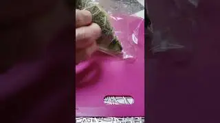 #cabage#asmr#sounds#plastic#wrap#like #subscribe#trending#share