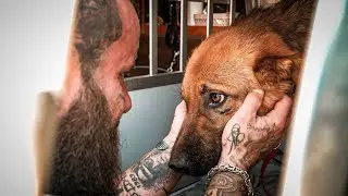 Wir holen Rex vom Tierarzt ab.