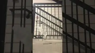 Bottle drop test 20 foot￼ #droptest