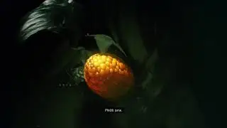 THE DIVISION 2: HARDCORE - LVL 37