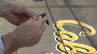 Bass Fishing Using A Tungsten Weight
