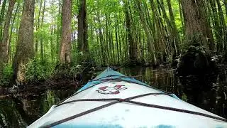 Robertson Millpond paddle trail
