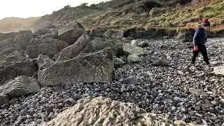 Gobbins 🐕🐕🚶🏼&zwj;♀️🚶🏼&zwj;♀️
