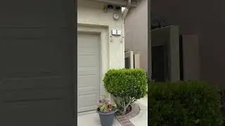 acabamos de apodar 4 arboles