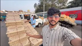 Poultry Buissnes | Chicks Delivery | #pune 