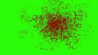 Blood Splatter On Screen Green Screen Effects YouTube 1024HD  Video