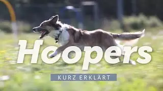 Hundesport Hoopers &ndash; Kurz erkl&auml;rt von Mira Klatt
