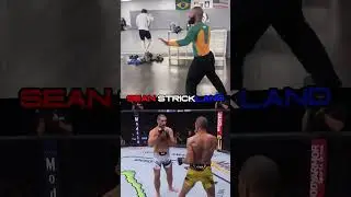 Mighty Mouse Impersonates UFC Fighters