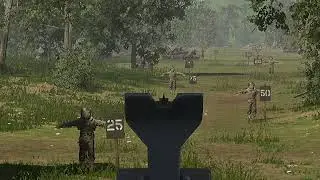 HLL How to abuse accessibility Zoom (Xbox)
