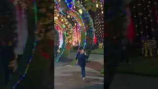 Circuito Magico Del Agua #viral