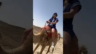 Camel riding in Marrakech, Morocco